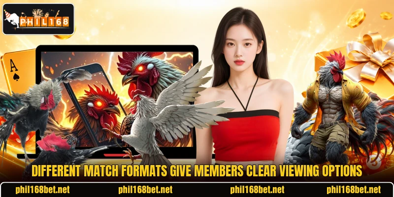 Different match formats give members clear viewing options Different match formats give members clear viewing options