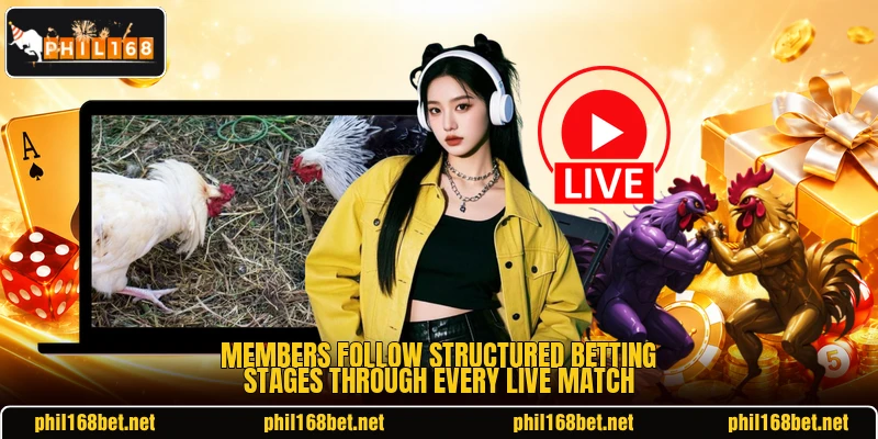 Members follow structured betting stages through every live match